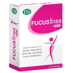 FUCUS linea +