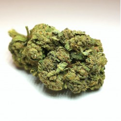 Cannabis Light NY Diesel