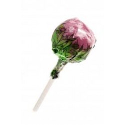 Cannabis Lollipop