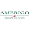 AMERIGO